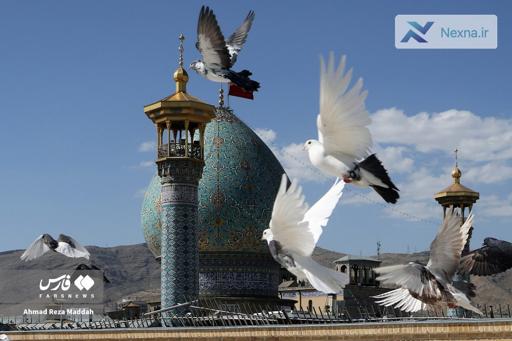 بزرگداشت شاهچراغ (ع)؛ قلب تپنده شیراز در سالروز شهادت امام رضا (ع)