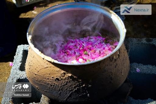 ثبت جهانی آیین گلاب‌گیری کاشان: رونق گردشگری با برندینگ بین‌المللی