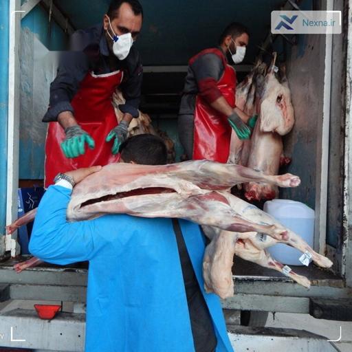 تغییر استراتژی واردات گوشت: خداحافظ برزیل، سلام مغولستان و پاکستان!