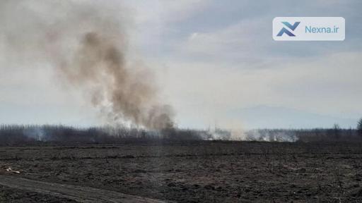 مهار آتش سوزی در تالاب بین المللی انزلی؛ تلاش برای جلوگیری از حریق مجدد