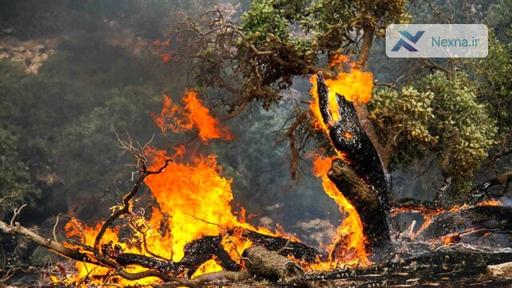 آتش سوزی در جنگل های مازندران؛ اعزام بالگرد برای اطفای حریق