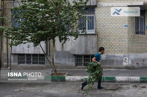 باد شدید در تهران