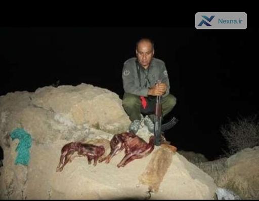 شهادت محیط بان فداکار در خائیز در درگیری با شکارچیان