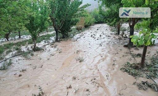 هشدار هواشناسی: احتمال وقوع سیل در برخی استان‌ها