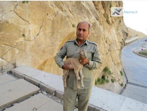 دستگیری دومین قاتل شهید دیده‌بان محیط‌بان