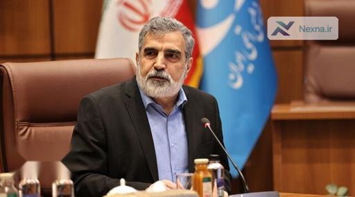 انتقاد کمالوندی از ادبیات «من‌درآوردی» مدیرکل آژانس درباره ایران