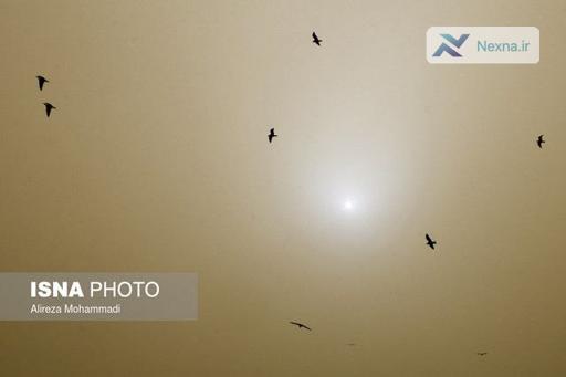 آلودگی هوای تهران: گردوغبار تا چند سال آینده ماندگار است