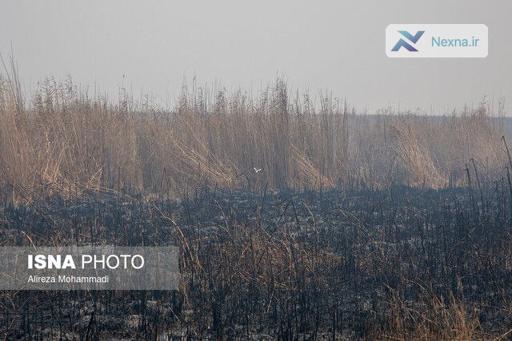 آلودگی هوا در خوزستان؛ ۶ شهر به دورکاری روی آوردند