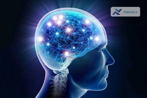 هوش ارثی است یا خیر؟