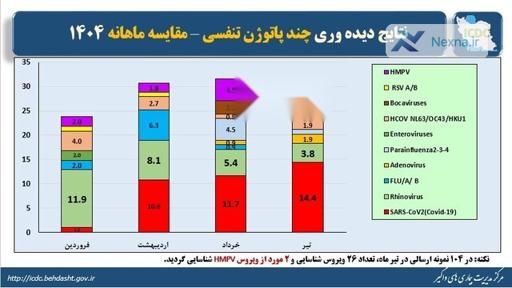 کرونا در صدر ویروس‌های تنفسی کشور | وضعیت کووید ۱۹ در تیرماه
