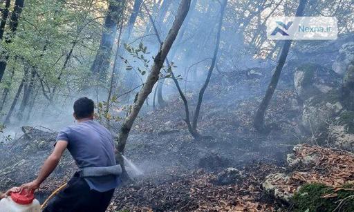 آتش‌سوزی گسترده در جنگل ابر سمنان؛ ۳۵ هکتار در آتش