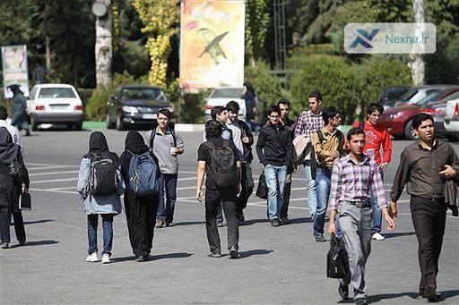بحران اشتغال دانش آموختگان: چرا ۴۰ درصد فارغ التحصیلان بیکارند؟