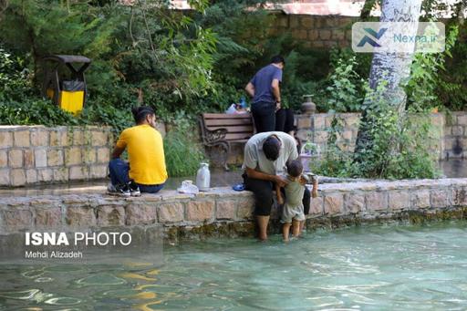 دوره چهل‌سی در تابستان تهران