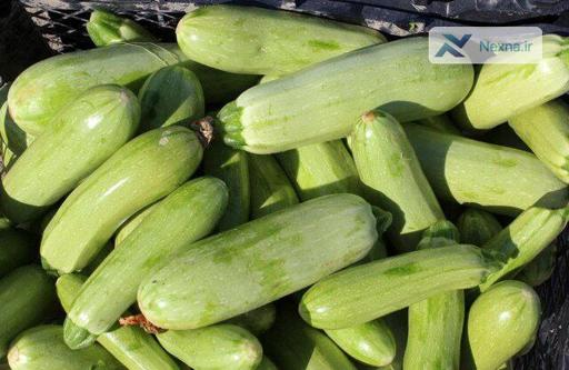 کاهش نفخ با یک خوردنی ساده: کدو سبز، دوست دستگاه گوارش شما
