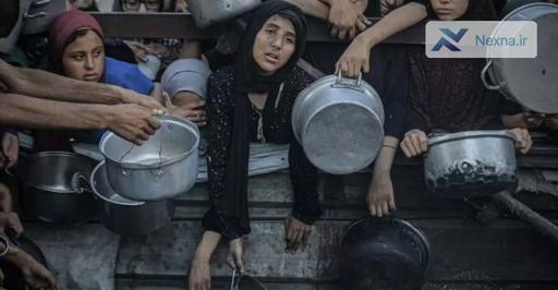 سخنگوی سازمان جهانی بهداشت: کشورها باید برای وارد کردن کمک‌ها به نوار غزه فشار بیاورند.