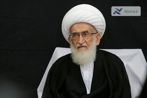 نامه آیت‌الله نوری همدانی به پاپ: اگر حضرت عیسی (ع) بودند، در برابر جنایات غزه سکوت نمی‌کردند!