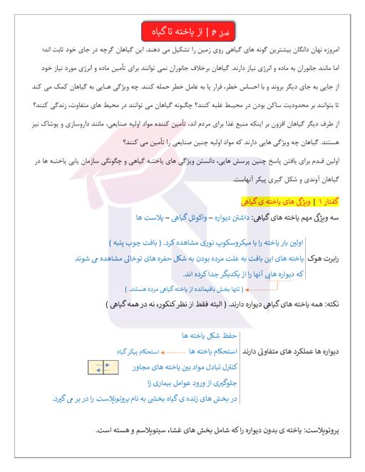 پیش نمایش جزوه و درسنامه درس زیست شناسی (1) پایه دهم - زیست گیاهی